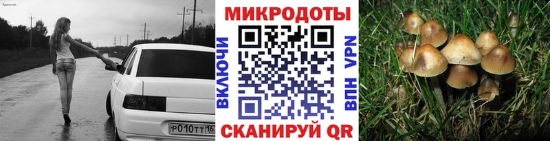 Галлюциногенные грибы GOLDEN TEACHER  Хилок 